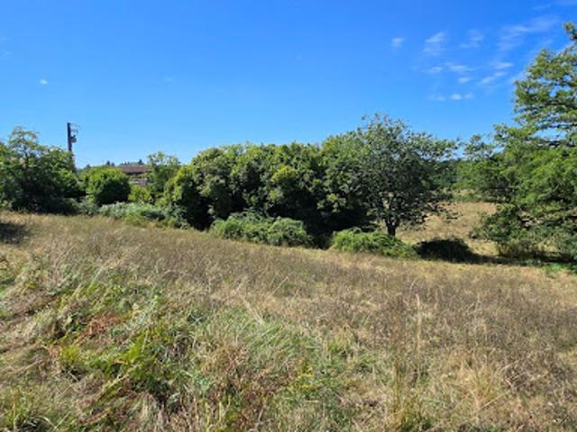 Terrain vente à Limoges, Peyrilhac