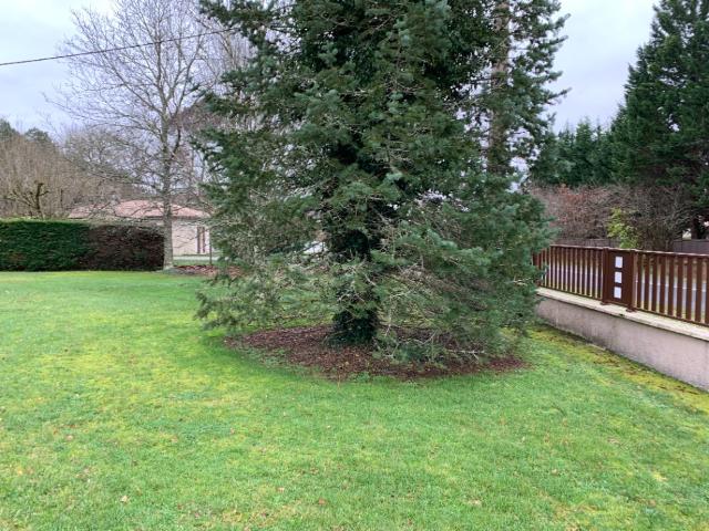 Terrain vente à Pissos, Landes