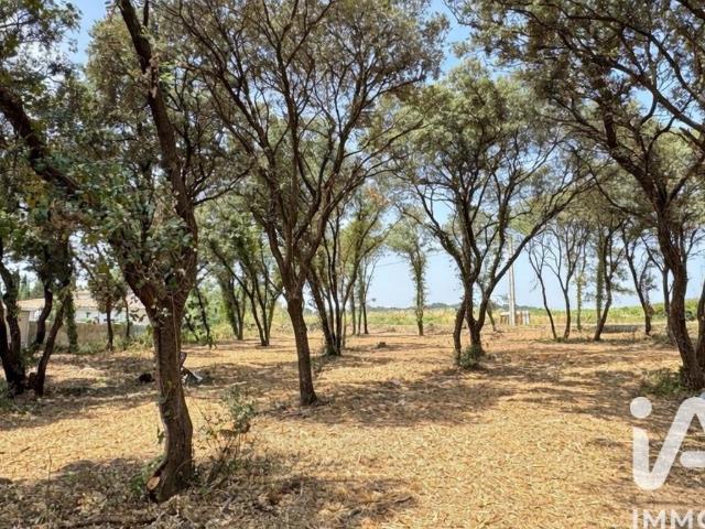 Terrain vente à Avignon, Bédarrides