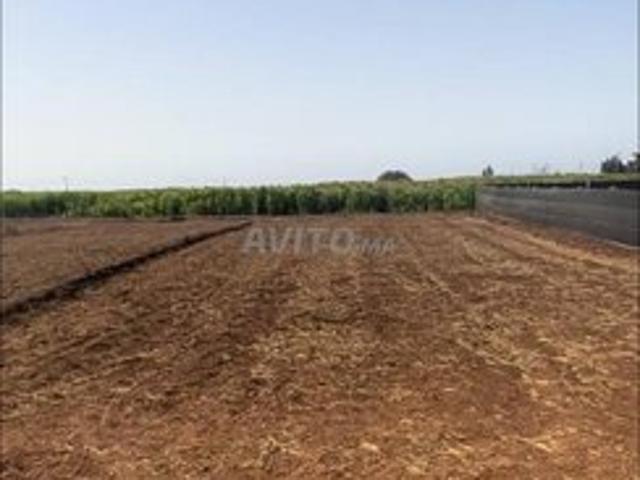 Propriété vente à Bouskoura, Gharb-Chrarda-Beni Hssen