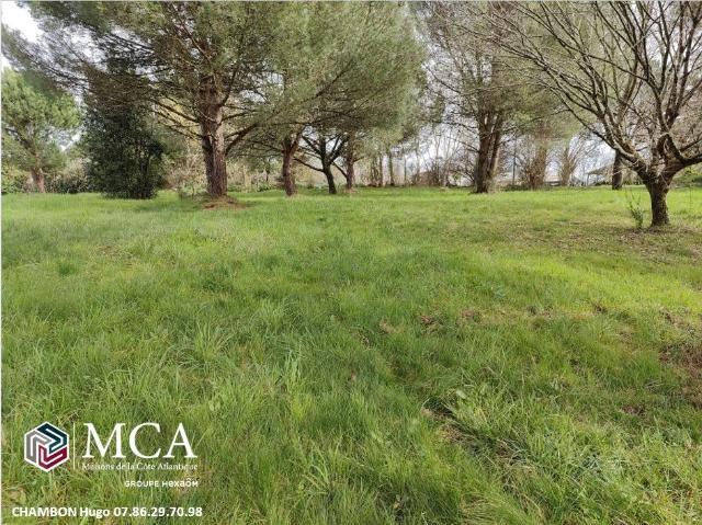 Terrain vente à France métropolitaine, Layrac