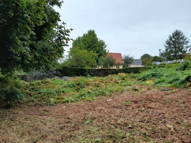 Terrain vente à Argentan, La Sauvagère