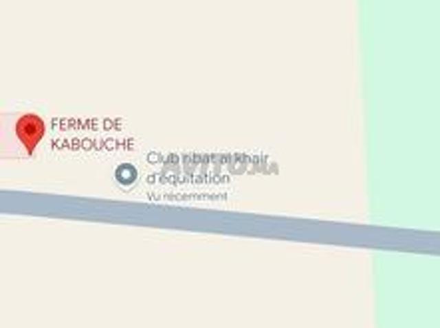 Propriété vente à Ouinislane