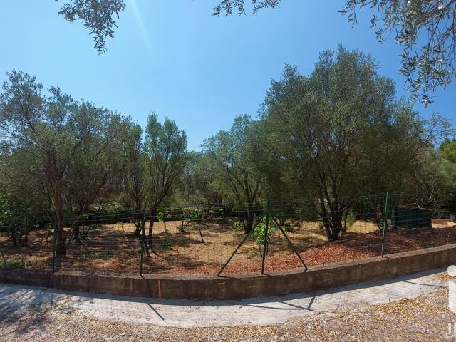 Terrain vente à Solliès-Pont, Var