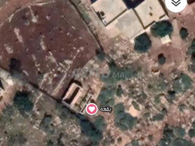 Propriété vente à Mellal