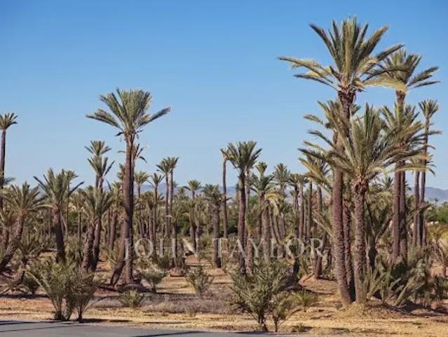 Terrain vente à Marrakech, L'Oriental