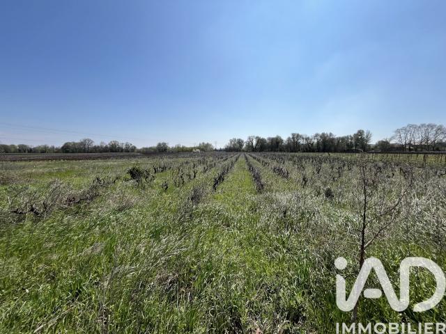 Terrain vente à Nîmes, Codolet