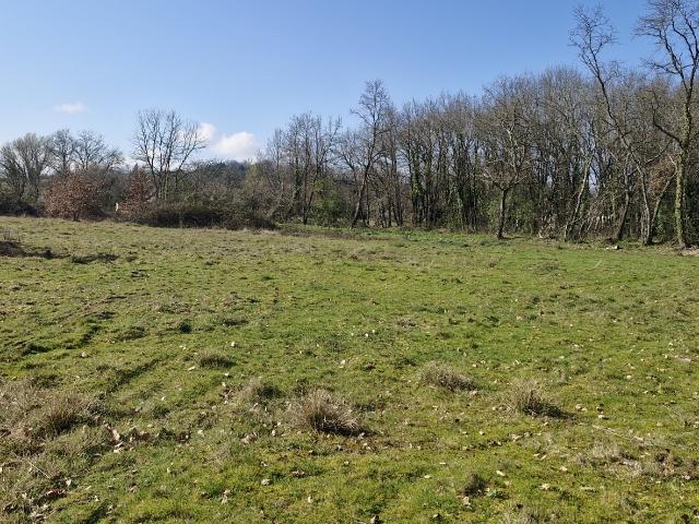 Terrain vente à Nouvelle-Aquitaine