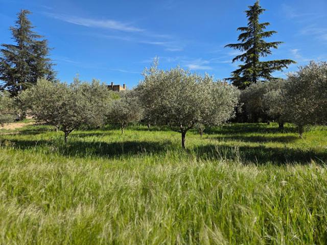 Terrain vente à Nîmes, Pujaut