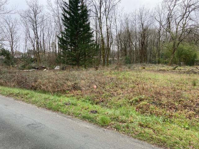 Terrain vente à Langon, Bazas