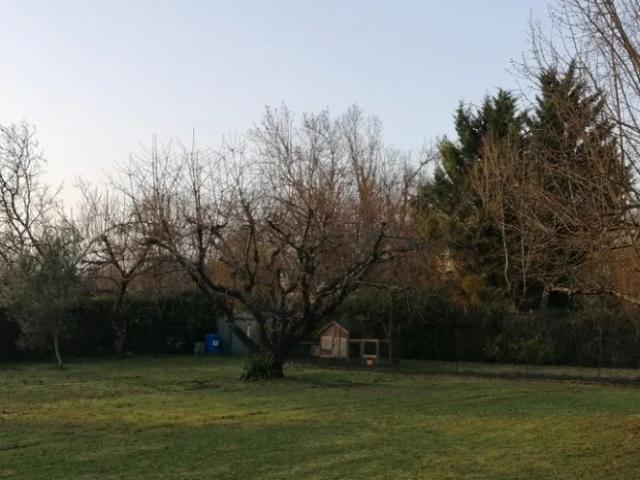 Terrain vente à Saintes, Bussac-sur-charente