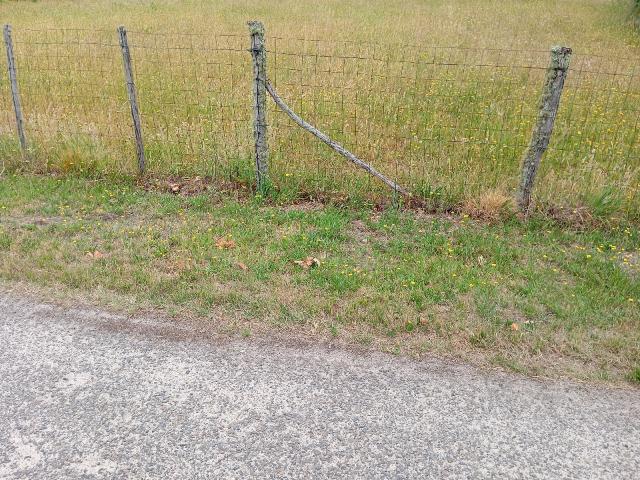 Terrain vente à France métropolitaine, Sanguinet