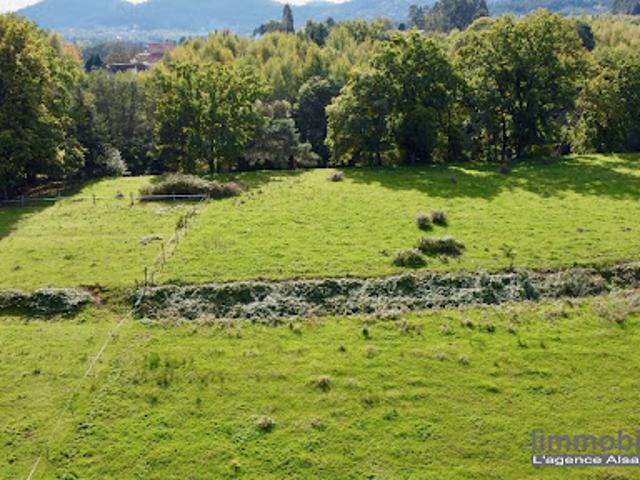 Terrain vente à Saint-Dié-des-Vosges, Taintrux