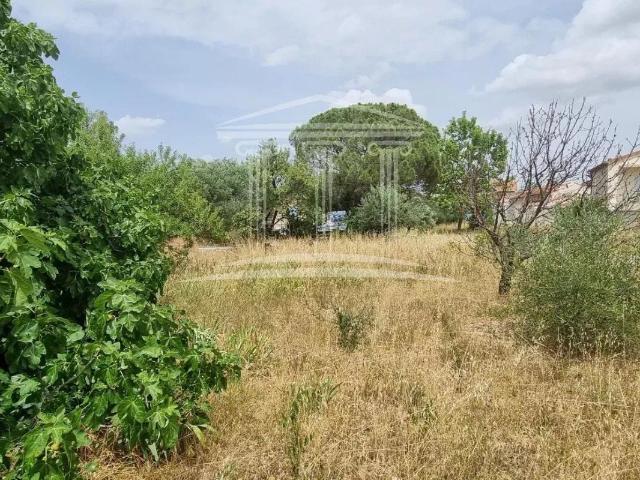 Terrain vente à Avignon, Sorgues