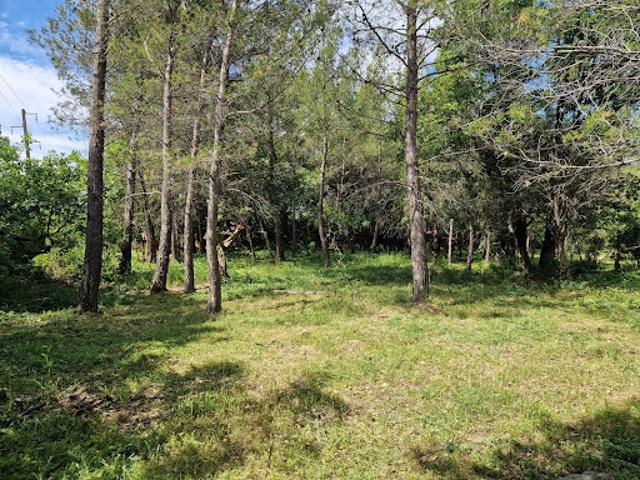 Terrain vente à Arrondissement de Draguignan, Flayosc