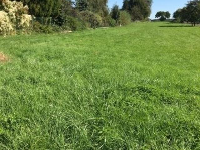 Terrain vente à Altkirch, Chavannes-sur-l'etang