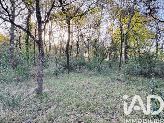 Terrain vente à Lesparre-Médoc, Soulac-sur-mer
