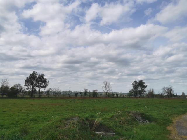 Terrain vente à Coimères, Gironde