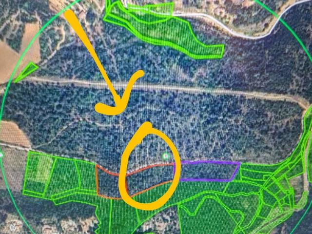 Terrain vente à Arrondissement de Draguignan, Lorgues