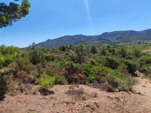 Terrain vente à Narbonne, Embres-et-castelmaure