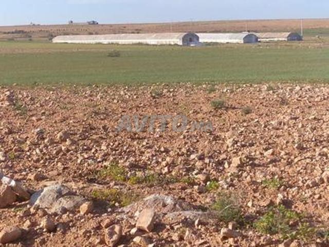 Propriété vente à Chichaoua, L'Oriental