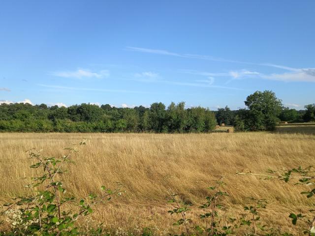 Terrain vente à Périgueux, Montpon-ménestérol