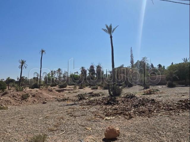 Terrain vente à Marrakech, L'Oriental