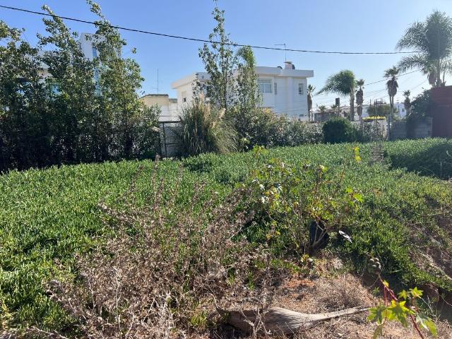 Terrain vente à El Harhoura