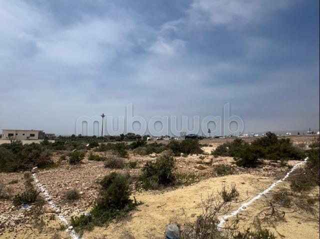 Terrain vente à Agadir, Oued ed Dahab-Lagouira