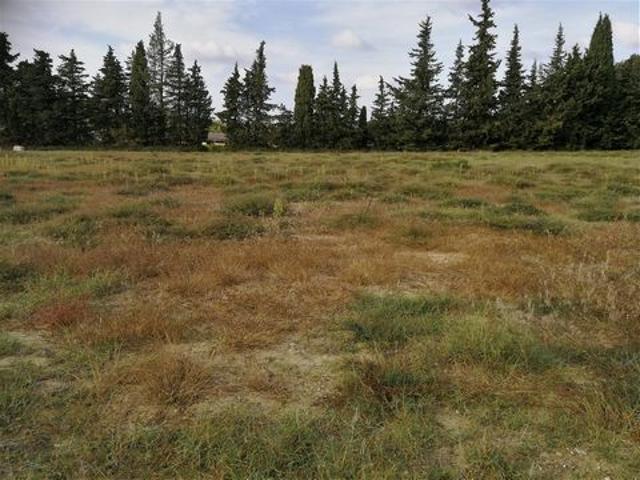 Terrain vente à Saint-paul-trois-châteaux, Lotissement les Cigalous