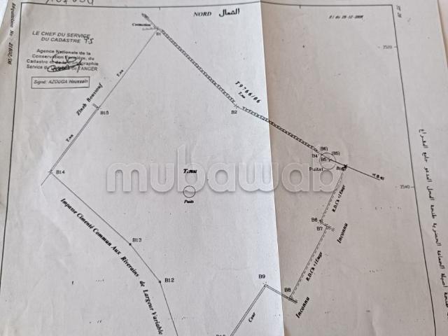 Terrain vente à Tangero, Tanger-Tétouan