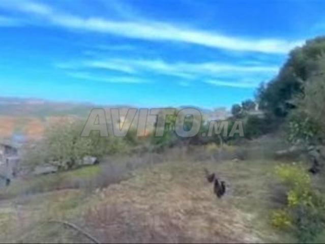 Propriété vente à El Fahs, Tanger-Tétouan