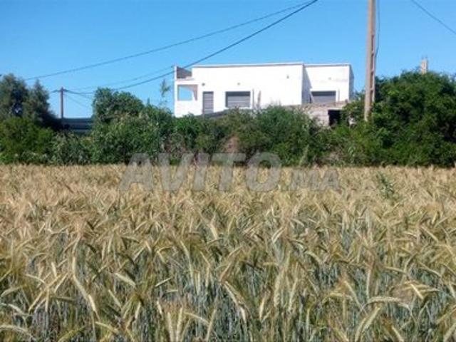 Propriété vente à El Ma, Gharb-Chrarda-Beni Hssen