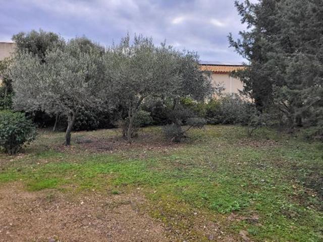 Terrain vente à Narbonne, Ferrals-les-corbières