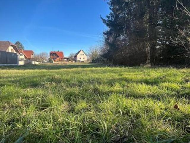 Terrain vente à Muttersholtz, Collectivité européenne d'Alsace