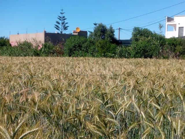 Terrain vente à El Ma, Gharb-Chrarda-Beni Hssen