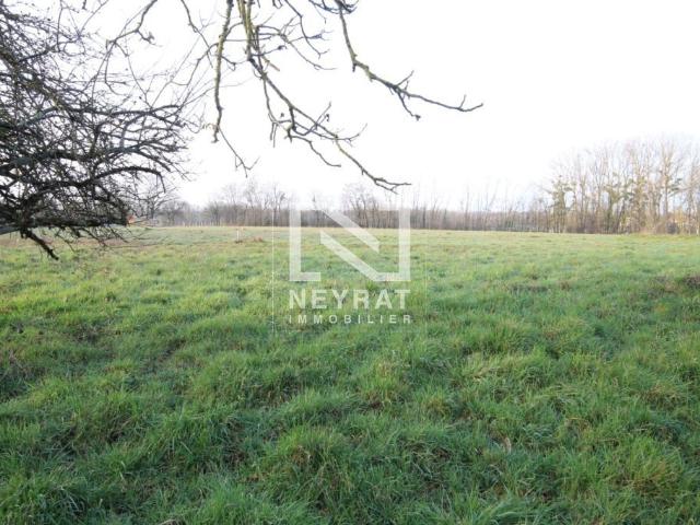 Terrain vente à Louhans-Châteaurenaud, Saint-germain-du-bois