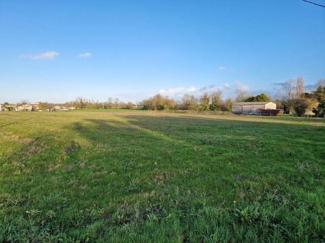 Terrain vente à Bois