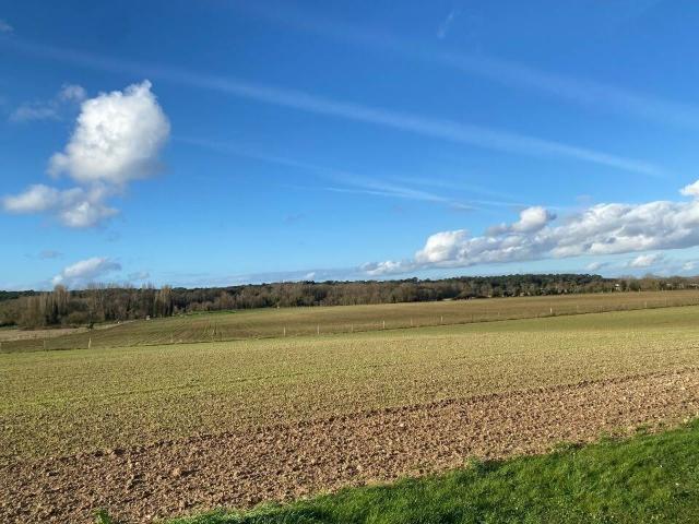 Terrain vente à Meschers-sur-gironde