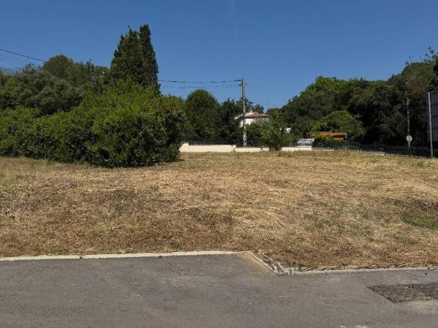Terrain vente à Montpellier