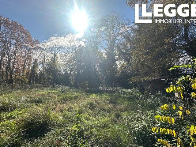 Terrain vente à France métropolitaine, Panjas