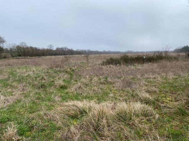 Terrain vente à Pont-l'abbé-d'arnoult