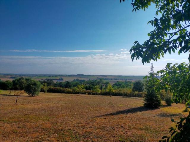 Terrain vente à Saint-maigrin