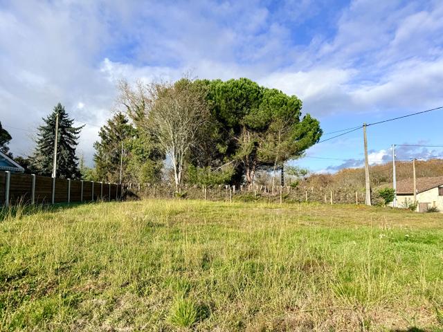 Terrain vente à Libourne, Saint-martin-du-bois