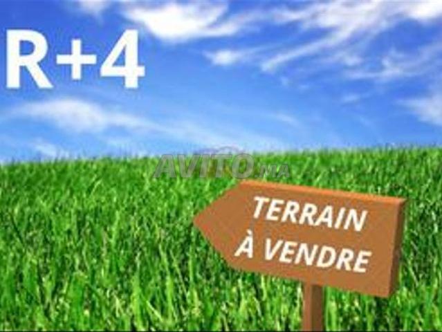 Propriété vente à Ben Slimane