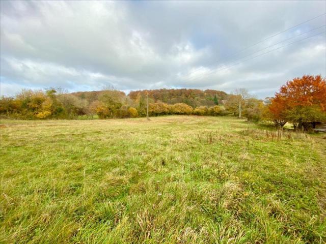 Terrain vente à Alençon