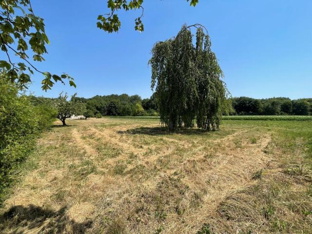 Terrain vente à Rethel, Alincourt