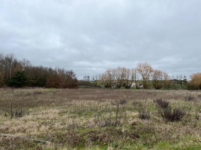 Terrain vente à Chinon, Assay