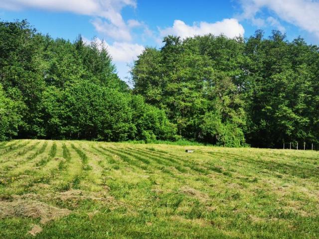 Terrain vente à Langon, Bazas