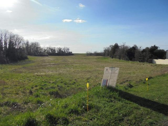Terrain vente à Orléans, Beaugency